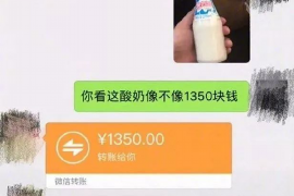 黄梅黄梅的要账公司在催收过程中的策略和技巧有哪些？